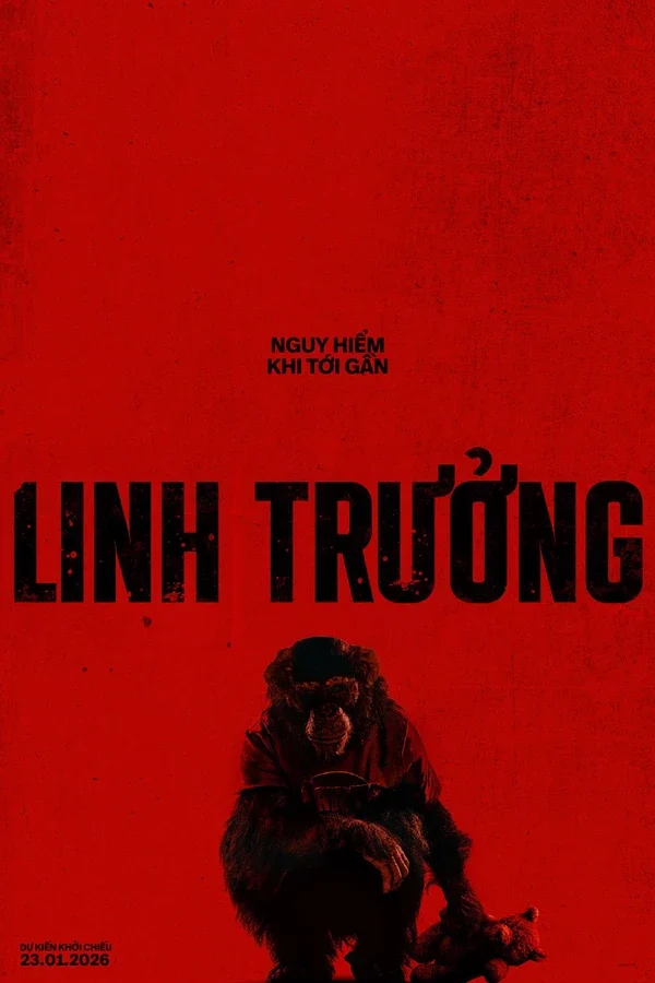 Xem Phim Linh Trưởng